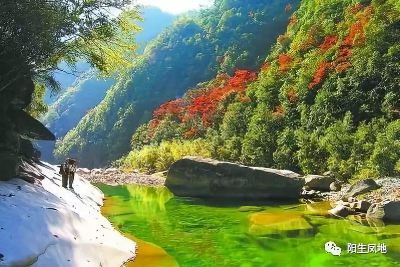 CBA官方:刘冠岑加盟山西男篮,贾昊加盟南京同曦